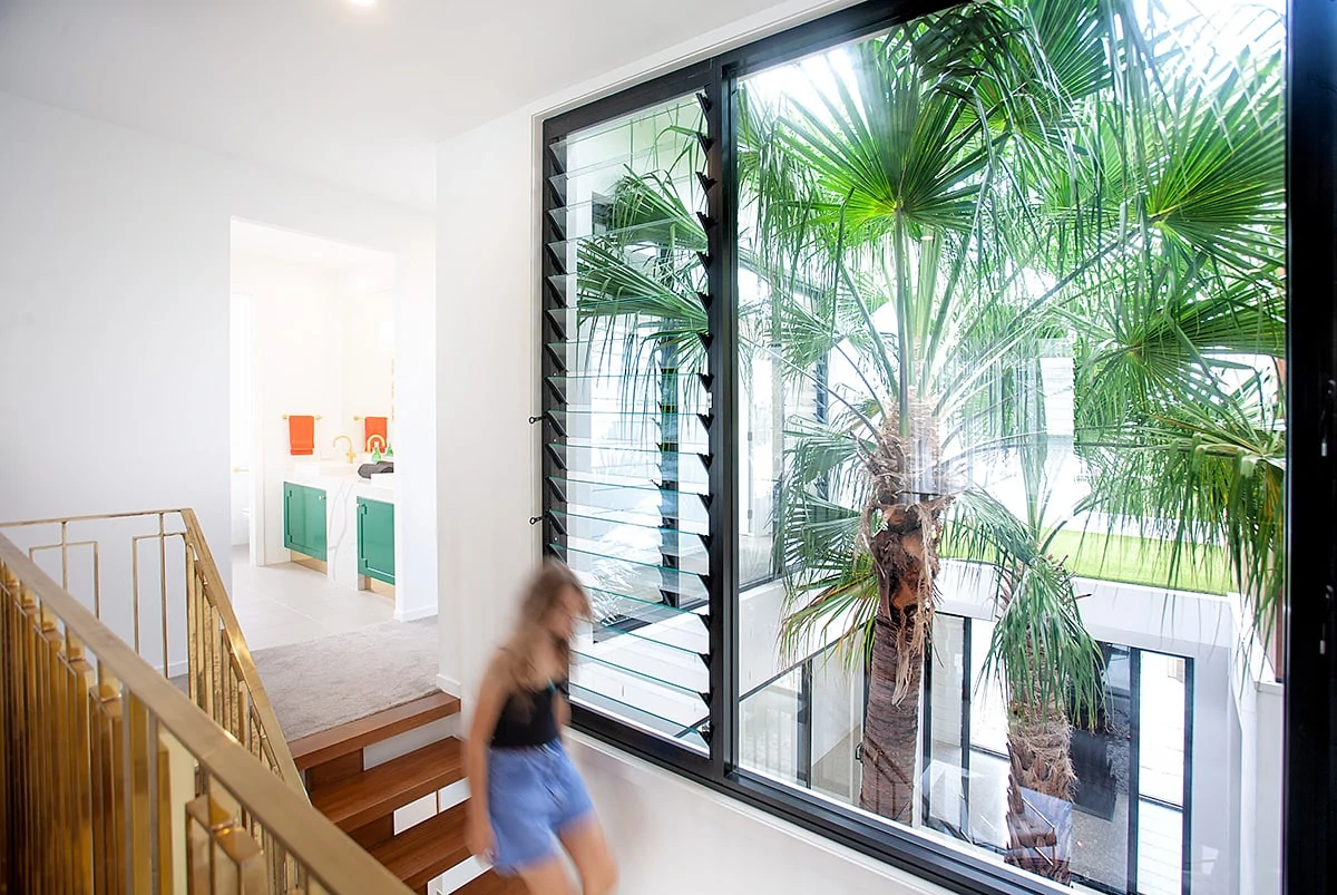 big window behind a palm tree